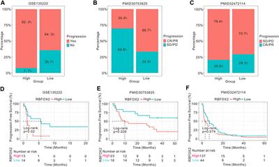 Integrated pan-cancer analysis reveals the immunological and prognostic potential of RBFOX2 in human tumors